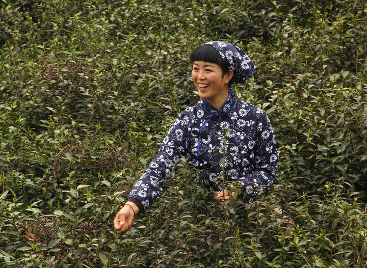 药屋少女